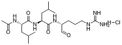 Leupeptin HCl 9740-82-4